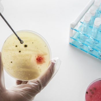 composizione-chimica-per-la-giornata-mondiale-della-scienza-di-natura-morta